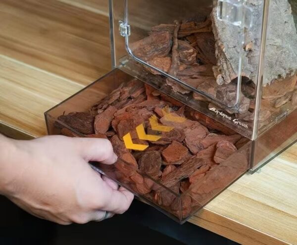 Contenedor  acrilico exibidor, Gecos, ranas, Arañas arboricolas (puerta lateral apertura superios (20*30*20 cm)