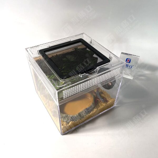 Contenedor acrilico exibidor, Gecos, Anolis, tortugas, ranas etc) Puerta superior (terrario) (20*18*20 Cm)