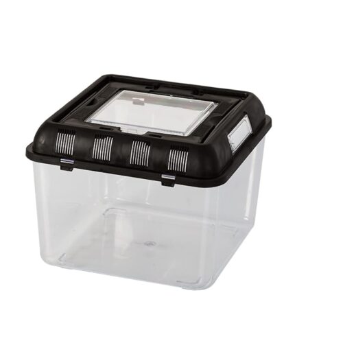 Trasportadora Plastica Pro (alimentador lateral, peces, reptiles ya aracnidos)  (20*17*20 cm)