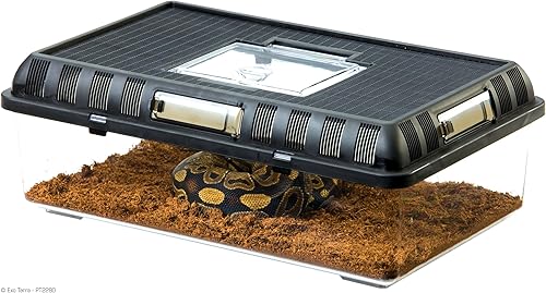 Faunario Rectangular (Alimentador Lateral, Peces, tortugas, aracnidos, y reptiles) (42*16*27 cm)