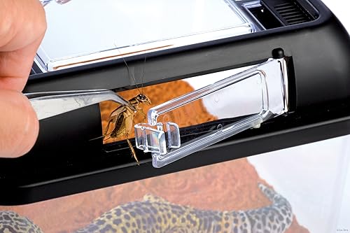 Faunario Rectangular (Alimentador Lateral, Peces, tortugas, aracnidos, y reptiles) (42*16*27 cm)