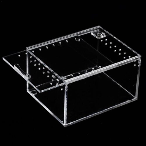 Transportadora araña u reptiles con cierre iman (acrilica) (13*10*12 cm)