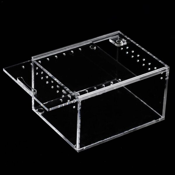 Transportadora araña u reptiles con cierre iman (acrilica) (13*10*12 cm)