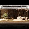 Contenedor acrilico exibidor, Gecos, Anolis, tortugas, ranas etc) Puerta superior (terrario) (20*28*20 Cm)