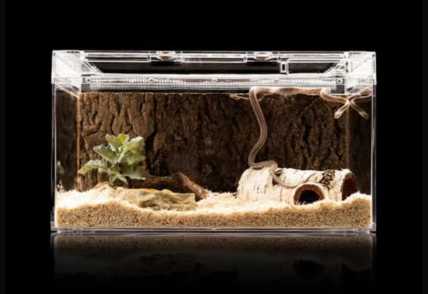 Contenedor acrilico exibidor, Gecos, Anolis, tortugas, ranas etc) Puerta superior (terrario) (20*28*20 Cm)