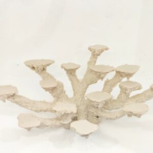 Base multiple corales 14 posiciones (38*15*20)