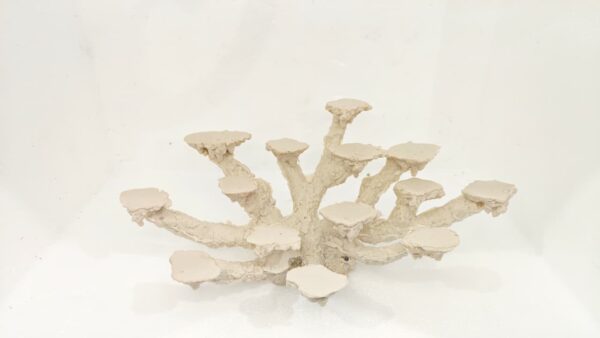 Base multiple corales 14 posiciones (38*15*20)