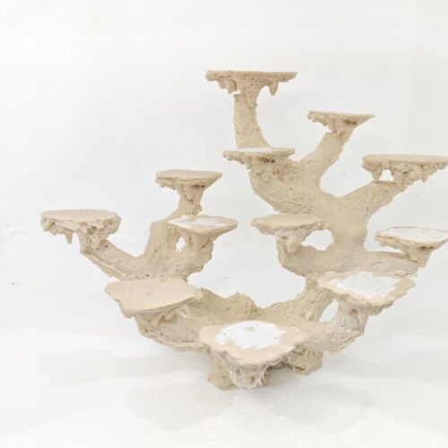 Base multiple corales 12 posiciones (32*20*25)