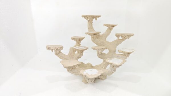 Base multiple corales 12 posiciones (32*20*25)