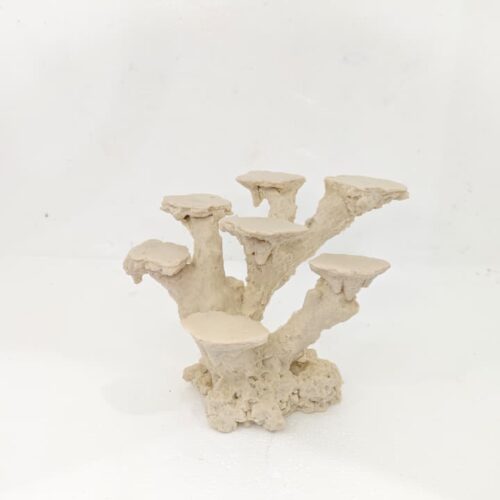 Base multiple corales 7 posiciones (16*13*16)