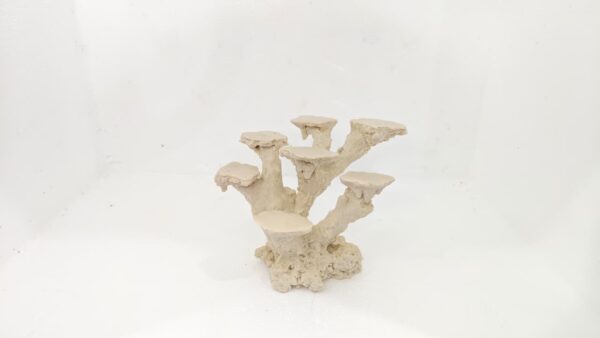 Base multiple corales 7 posiciones (16*13*16)